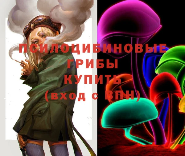 хмурый Апатиты