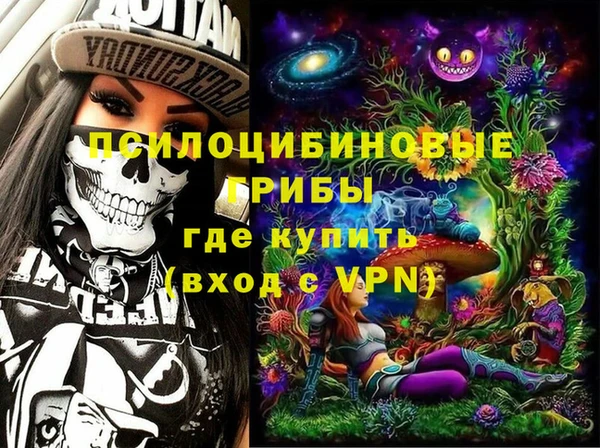 соль ск Анива