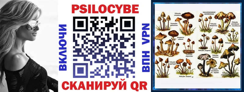 гидра вход  Александровск-Сахалинский  Галлюциногенные грибы MAGIC MUSHROOMS 